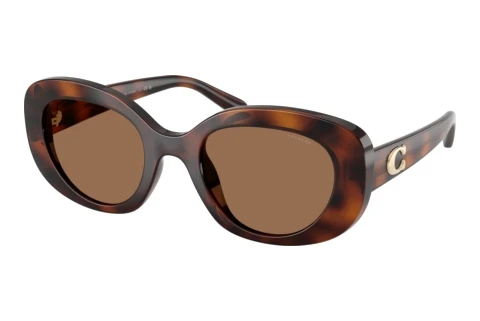 Sonnenbrille Coach CFU08 (HC8463U 512073)
