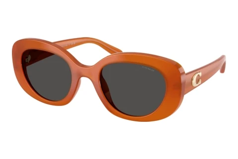 Sonnenbrille Coach CFU08 (HC8463U 593087)