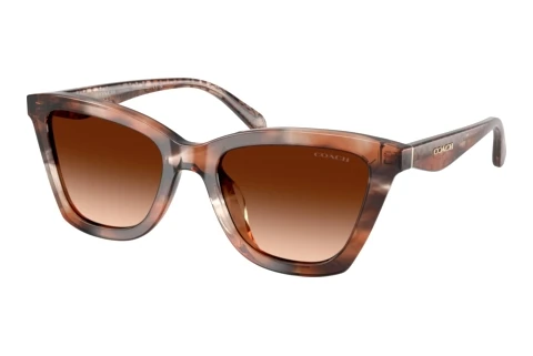 Sonnenbrille Coach CFU10 (HC8464U 596574)