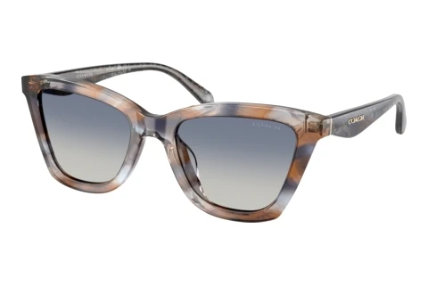 Sonnenbrille Coach CFU10 (HC8464U 596614)