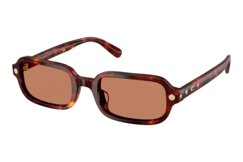 Sonnenbrille Coach CFU11 (HC8465U 593873)