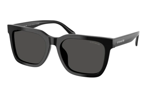 Sonnenbrille Coach CFU12 (HC8466U 500287)