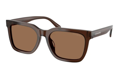 Sonnenbrille Coach CFU12 (HC8466U 597373)