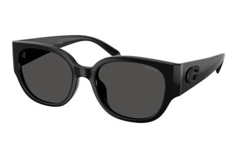 Sonnenbrille Coach CFU17 (HC8469D 500287)