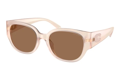 Sonnenbrille Coach CFU17 (HC8469D 597673)
