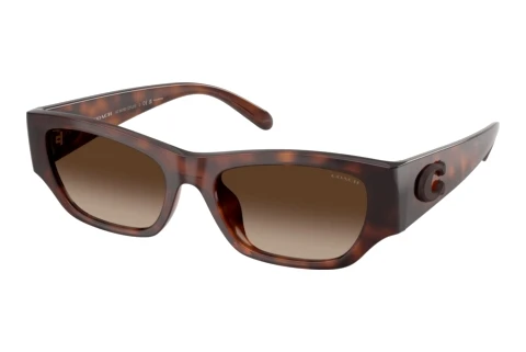 Sonnenbrille Coach CFU16 (HC8470D 512087)