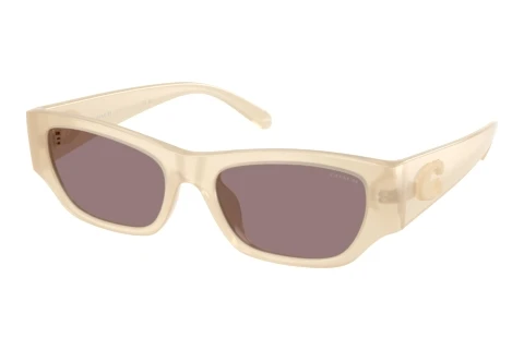 Sonnenbrille Coach CFU16 (HC8470D 58857N)