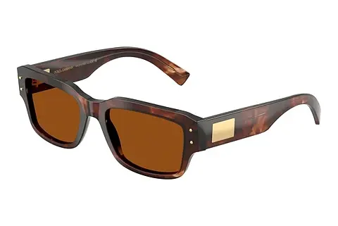 Sonnenbrille Dolce & Gabbana DG4483 322273