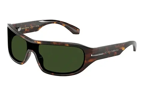 Sonnenbrille Dolce & Gabbana DG4486 502/71