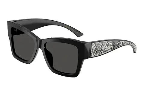 Sonnenbrille Dolce & Gabbana DG4493 501/87