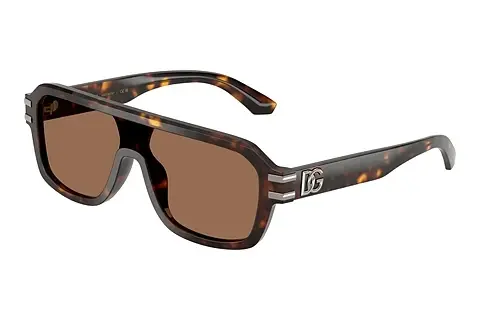 Sonnenbrille Dolce & Gabbana DG4507 502/73