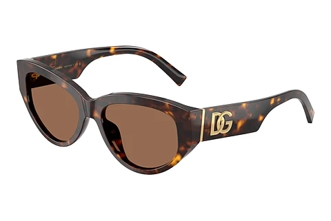 Sonnenbrille Dolce & Gabbana DG4514 502/73