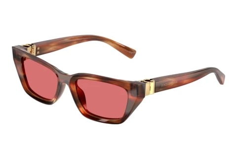 Sonnenbrille Dolce & Gabbana DG4532 322175