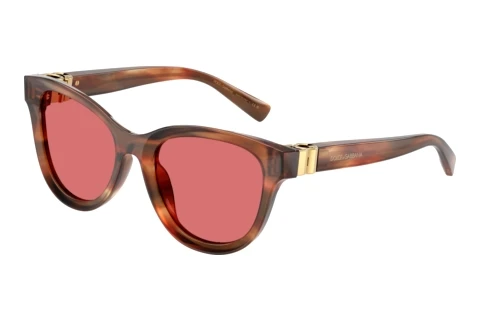 Sonnenbrille Dolce & Gabbana DG4533 322175