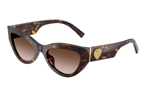 Sonnenbrille Dolce & Gabbana DG4536 502/13