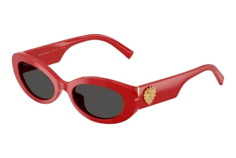 Sonnenbrille Dolce & Gabbana DG4537 308887