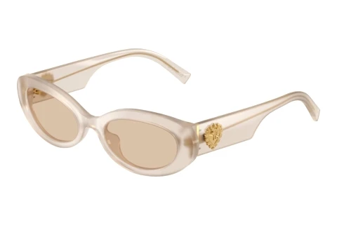 Sonnenbrille Dolce & Gabbana DG4537 342093