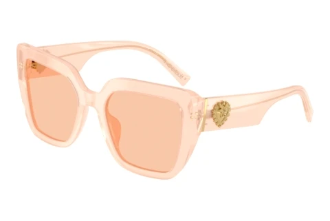 Sonnenbrille Dolce & Gabbana DG4538 304173