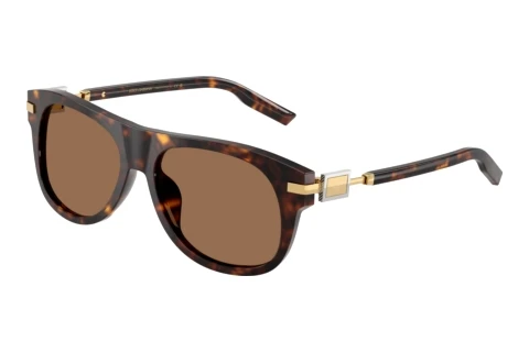 Sonnenbrille Dolce & Gabbana DG4546 502/73