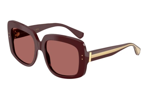 Sonnenbrille Dolce & Gabbana DG4557 309169
