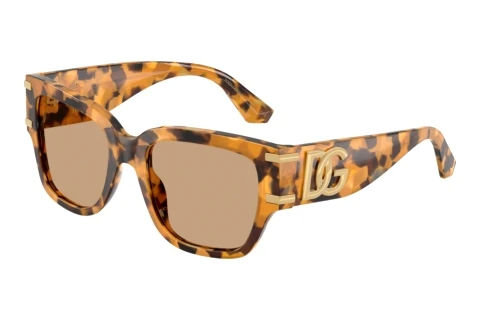 Sonnenbrille Dolce & Gabbana DG4563 349663