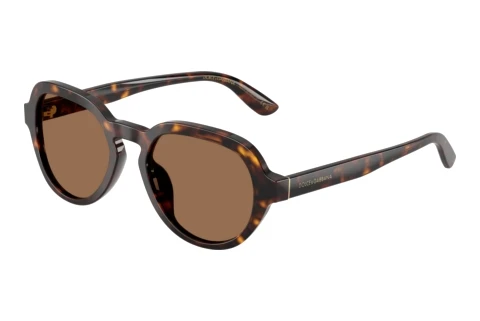 Sonnenbrille Dolce & Gabbana DG4567 502/73