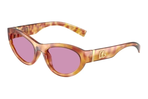 Sonnenbrille Dolce & Gabbana DG6207 34771A