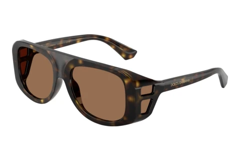 Sonnenbrille Dolce & Gabbana DG6208 502/73