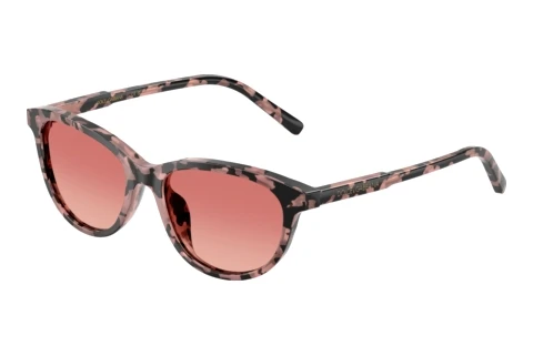 Sonnenbrille Dolce & Gabbana DX4010 3476A5