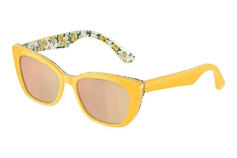 Sonnenbrille Dolce & Gabbana DX4427 34437J