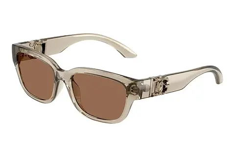 Sonnenbrille Dolce & Gabbana DX6009 329173