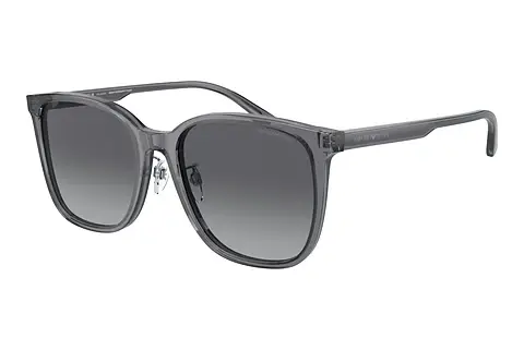 Sonnenbrille Emporio Armani EA4206D 5029T3