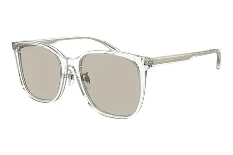 Sonnenbrille Emporio Armani EA4206D 5893/3