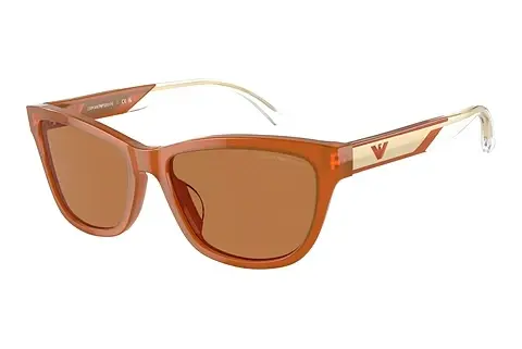 Sonnenbrille Emporio Armani EA4227U 609773