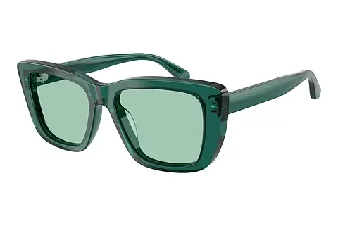 Sonnenbrille Emporio Armani EA4246U 6252/2