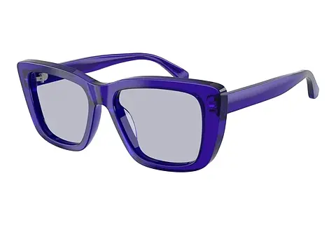 Sonnenbrille Emporio Armani EA4246U 6253/1