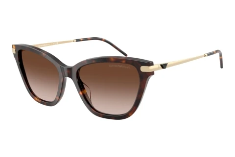 Sonnenbrille Emporio Armani EA4251 502613