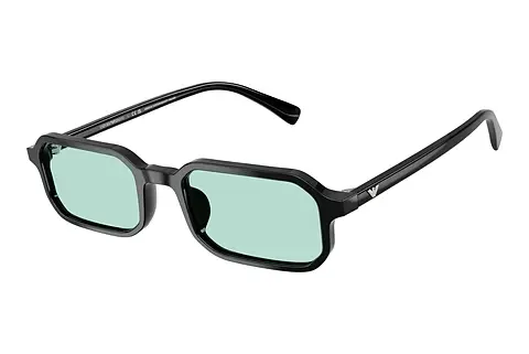 Sonnenbrille Emporio Armani EA4253U 501765