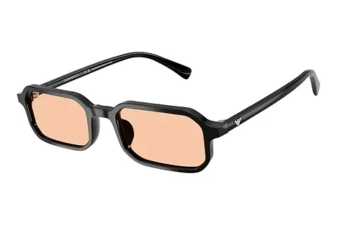 Sonnenbrille Emporio Armani EA4253U 501793