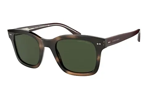 Sonnenbrille Giorgio Armani AR8138 573431