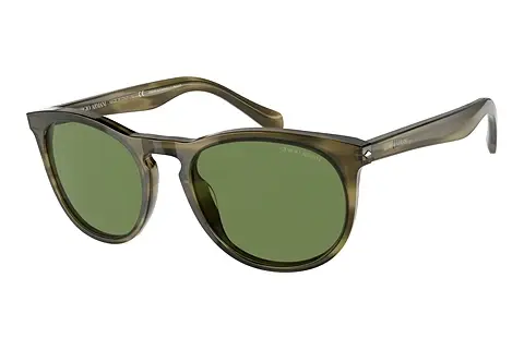 Sonnenbrille Giorgio Armani AR8149 59024E