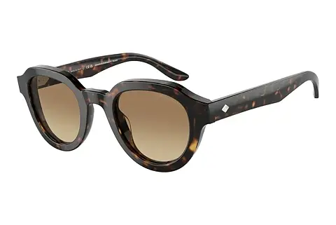 Sonnenbrille Giorgio Armani AR8172U 5879Q4
