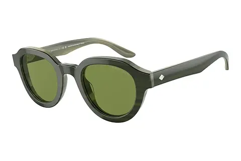 Sonnenbrille Giorgio Armani AR8172U 59714E