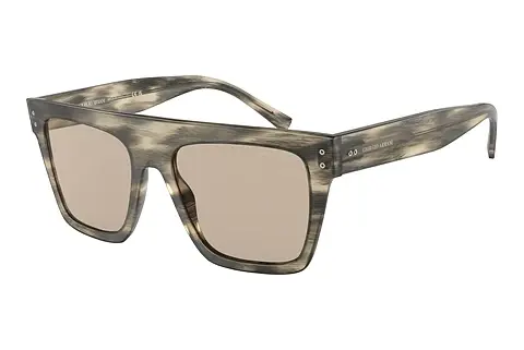Sonnenbrille Giorgio Armani AR8177 5922/3
