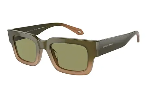 Sonnenbrille Giorgio Armani AR8184U 598214