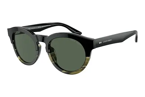 Sonnenbrille Giorgio Armani AR8189U 600771