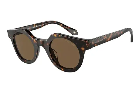 Sonnenbrille Giorgio Armani AR8191U 587973