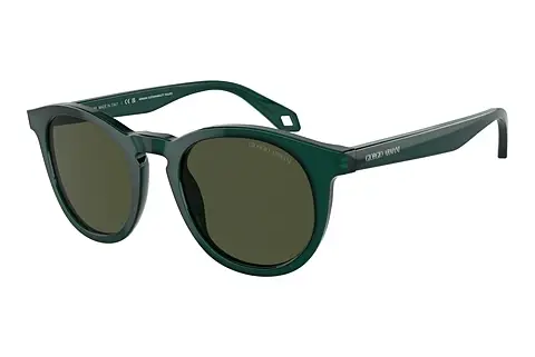 Sonnenbrille Giorgio Armani AR8192 604431