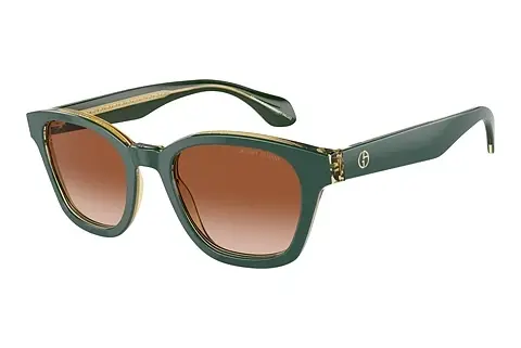 Sonnenbrille Giorgio Armani AR8207 608613