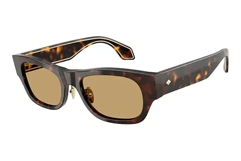 Sonnenbrille Giorgio Armani AR8224 502673